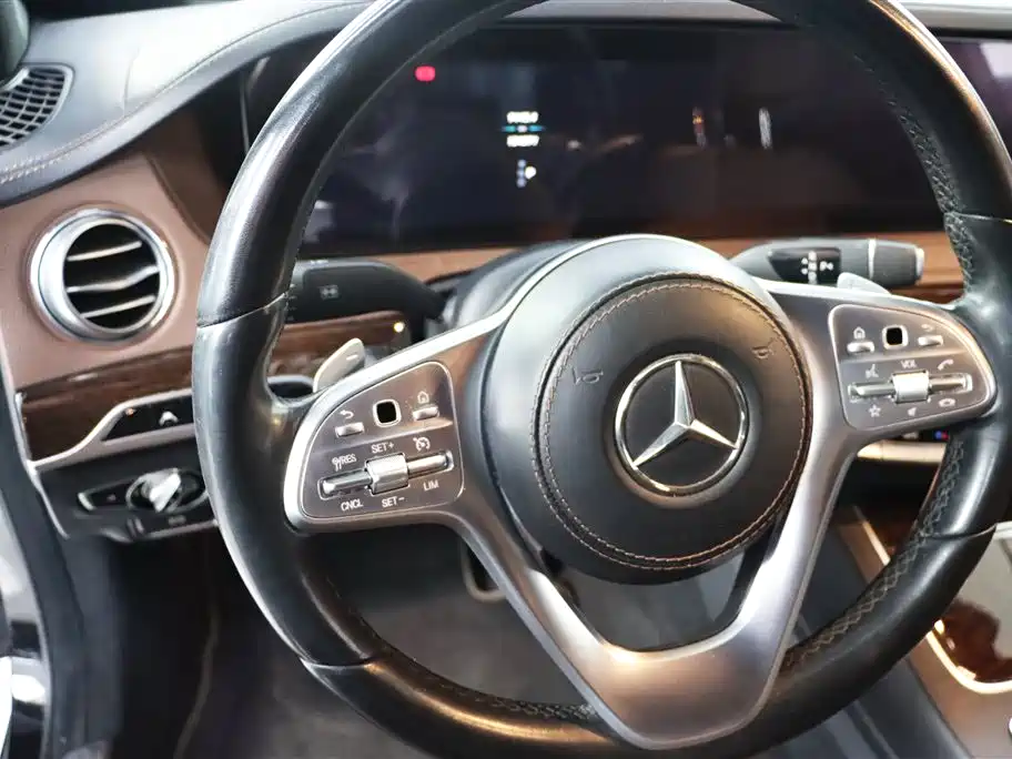 Mercedes-Benz S-Class 2020 S 350 L Business Edition Collector's Version фото 14