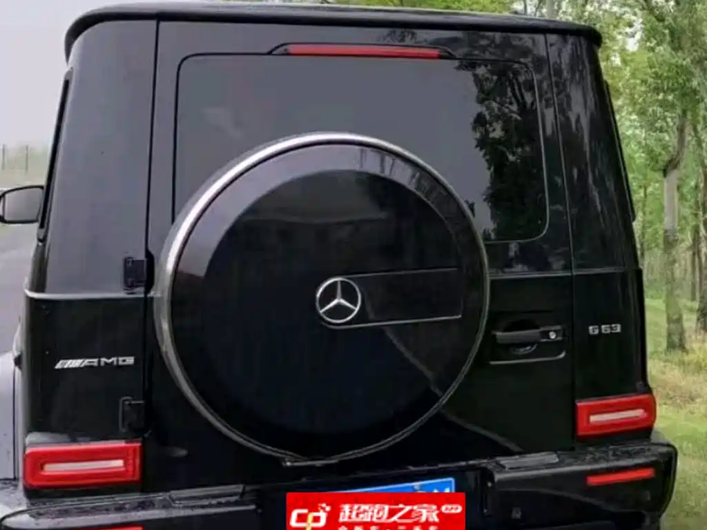 Mercedes-Benz G-Class 2024 G 350 фото 2
