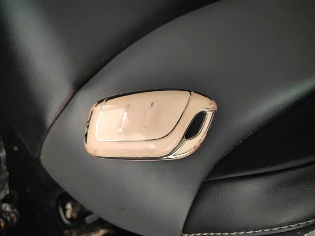Roewe Kaiwei CLEVER 2024 2022 311km Vitality Bobo Edition