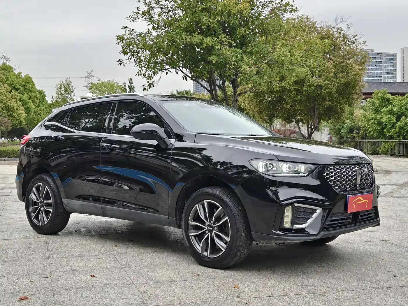 WEI PAI WEI BRAND VV5