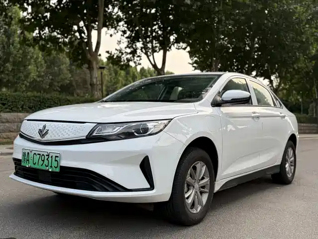 Ruilan Maple 60s 幸福定制 整车 出租车专用版