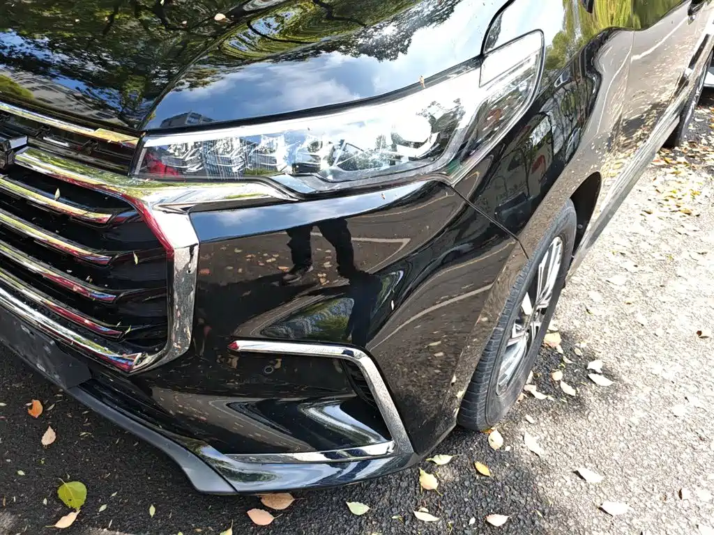 SAIC Maxus Maxus G20 2020 2.0T Gasoline Automatic Luxury фото 18