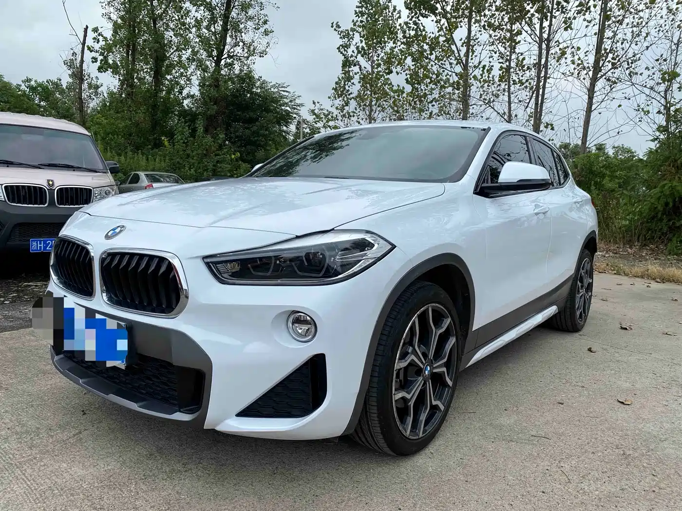 BMW X2 (Import) 2018 2018 sDrive25i Luxury M Off-Road Package China V