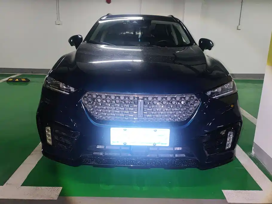 2021 WEY VV7