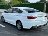 Photo 7 - Geely Binrui