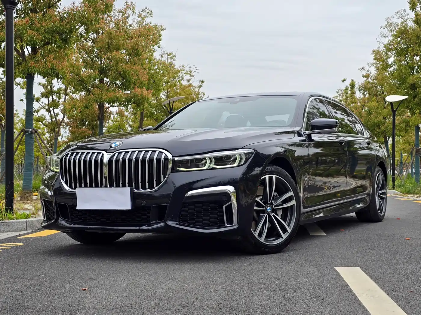 BMW 7 Series 2019 730Li M Sport Package