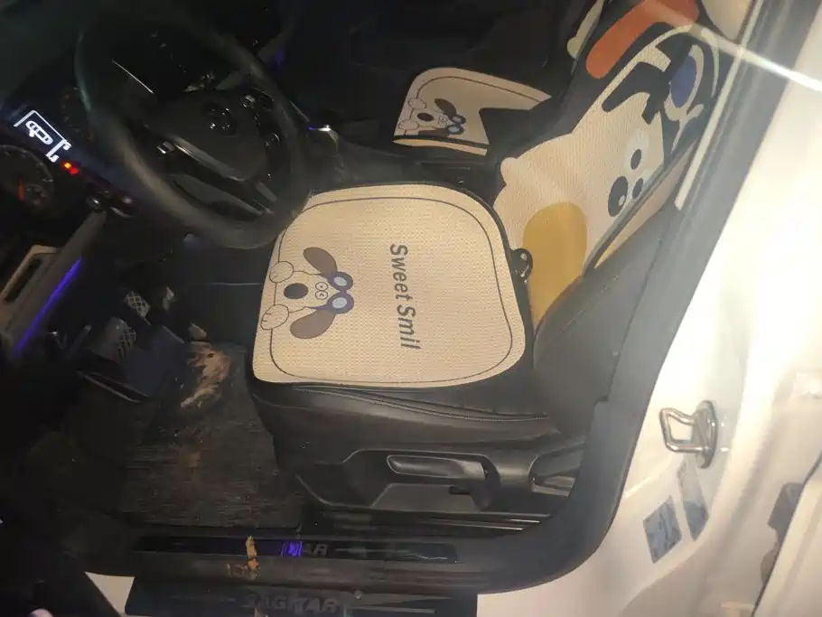 Volkswagen Sagitar, миниатюра 9