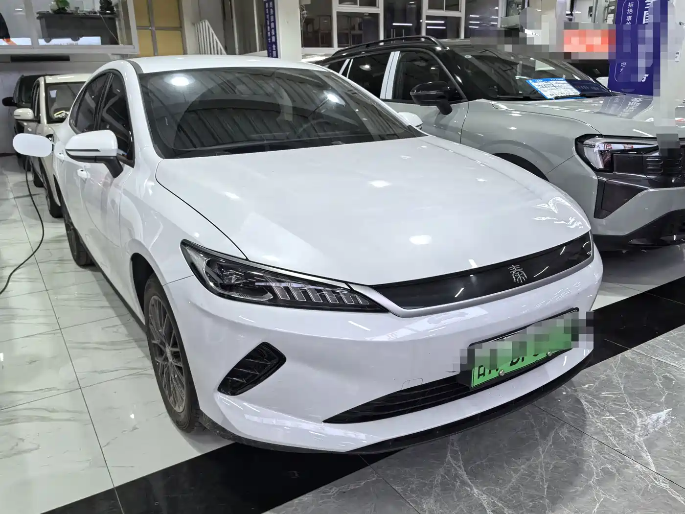 BYD Qin PLUS 2026 2026 EV Smart Drive Edition 510KM Progressive