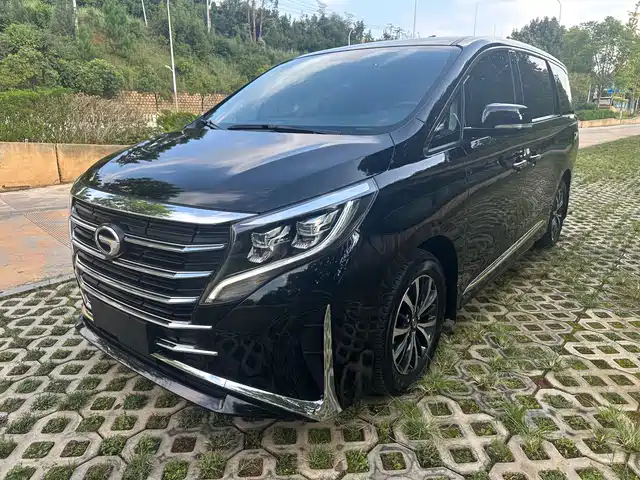GAC Trumpchi Trumpchi M8 2023 Leading Series 390T Premium Edition — фото 1