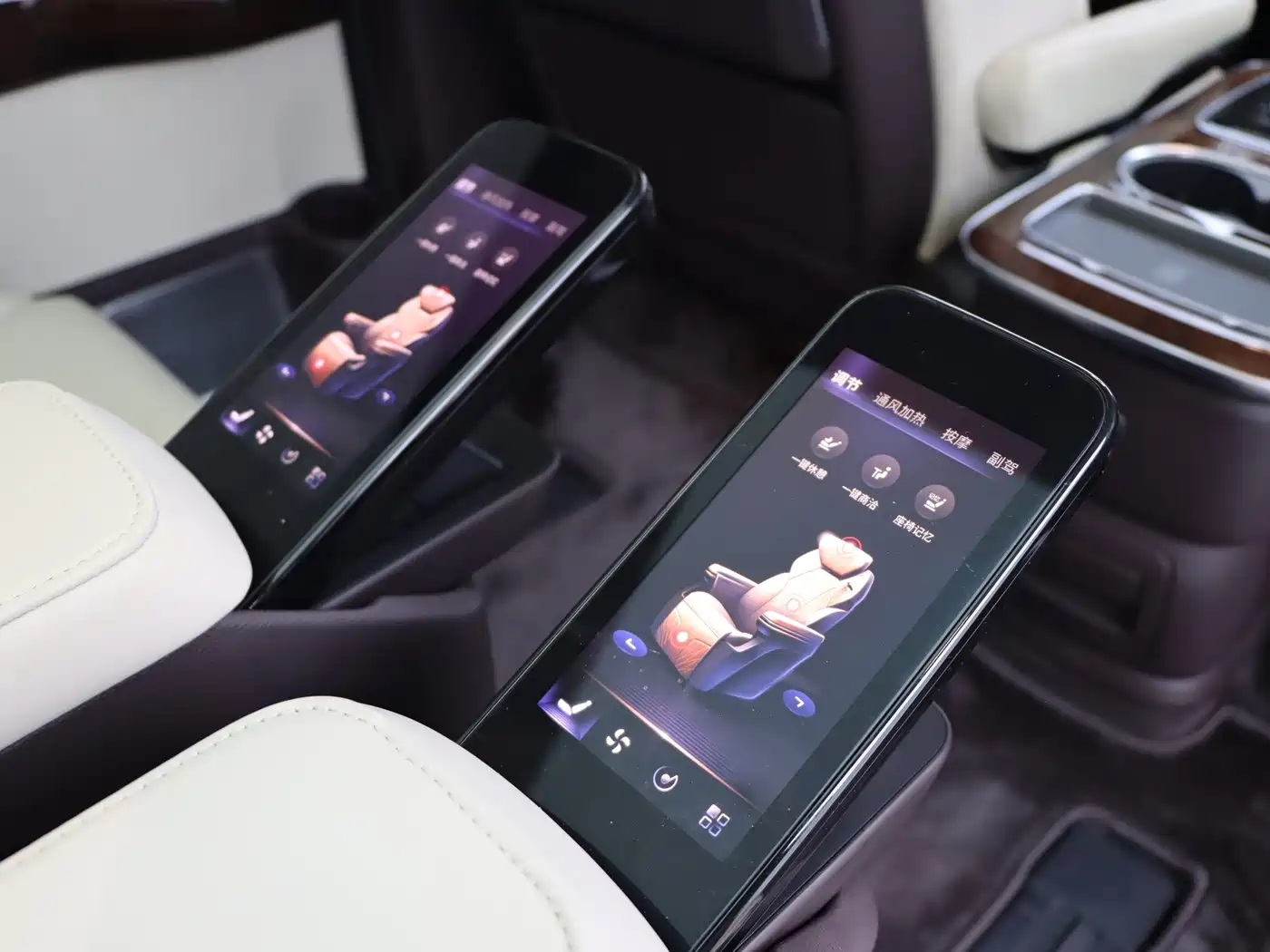 Hongqi HQ9 2025 2023 2.0T Smart Connect Flagship