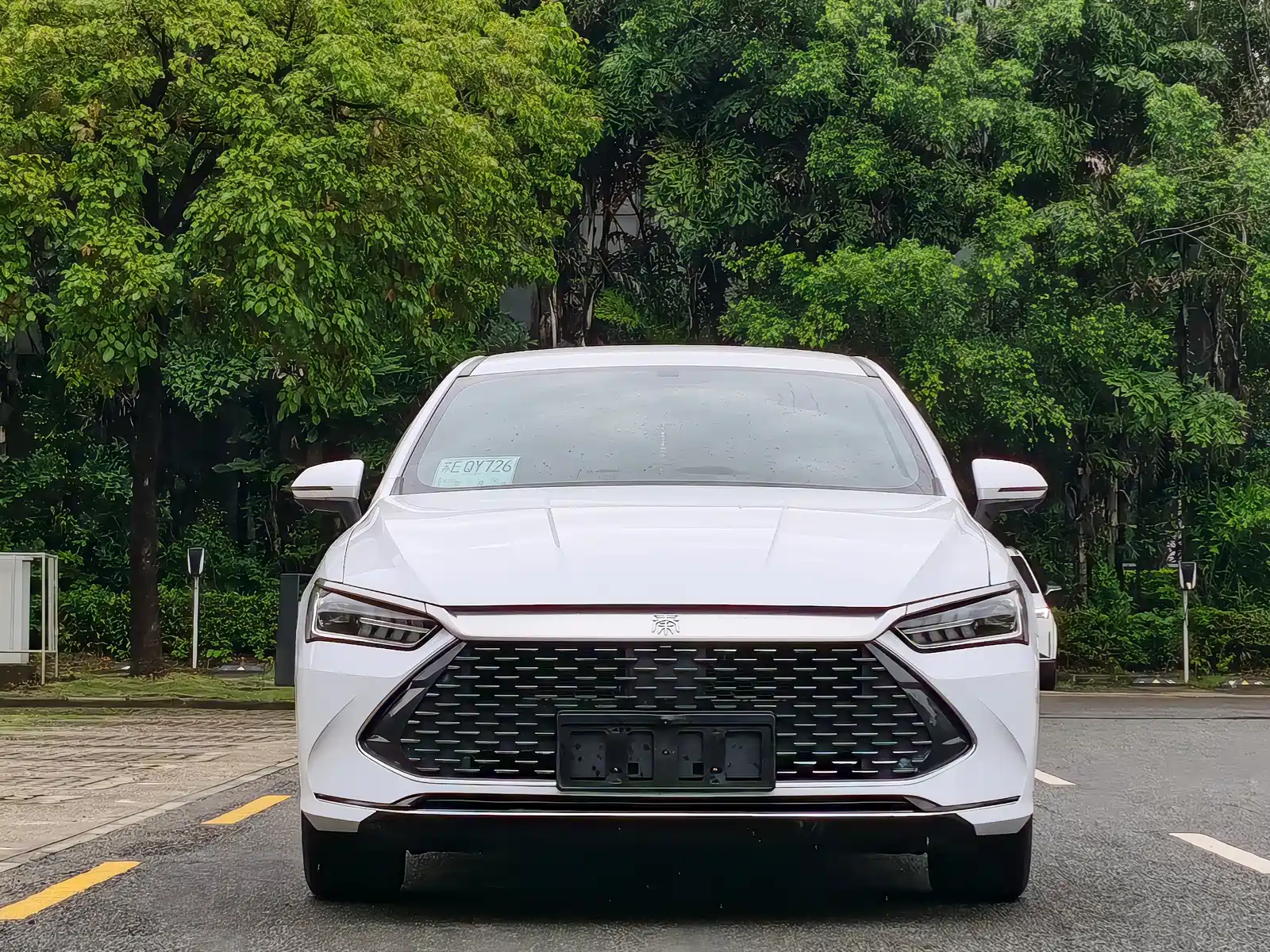 Фото 2 - BYD Qin PLUS
