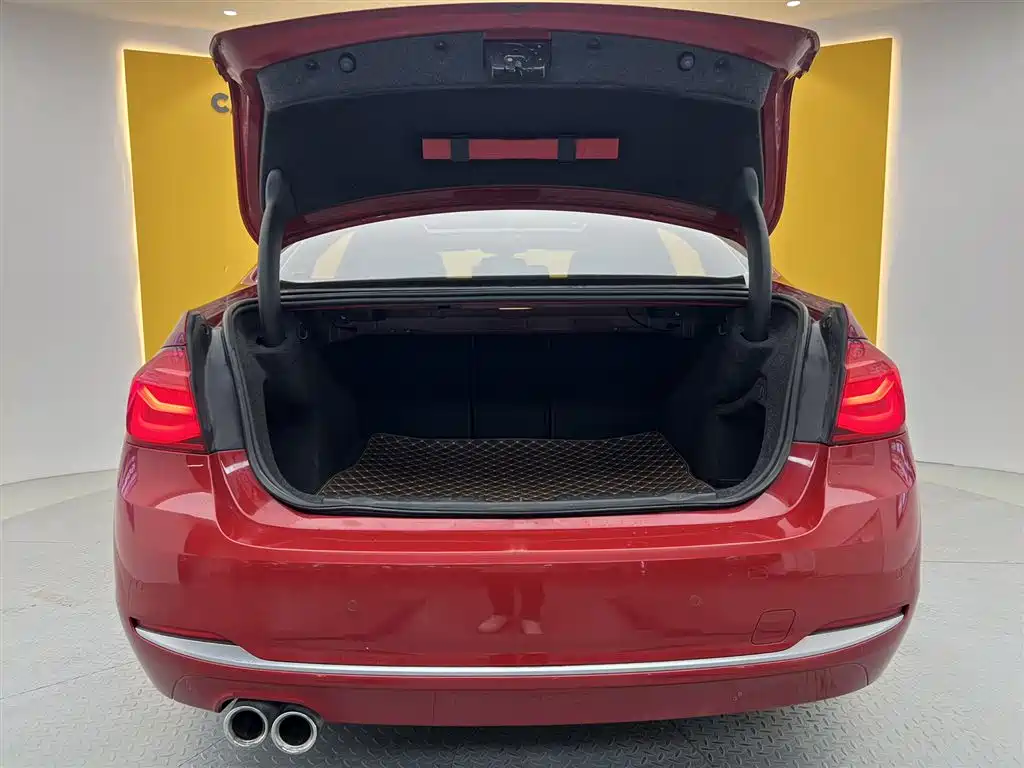 BMW 3 Series 2018 320Li Fashion Style фото 12