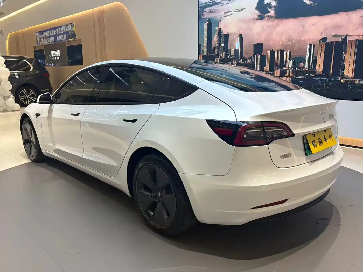 TESLA MODEL 3
