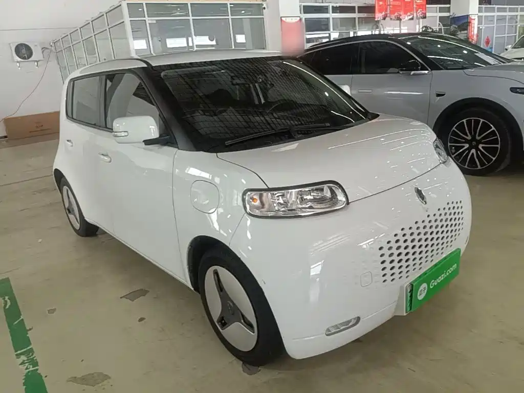 Ora White Cat 2021 2020 360km Luxury Model