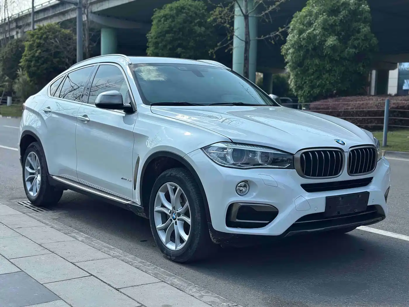 BMW X6 2017 xDrive35i Leading фото 8