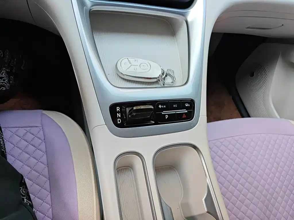 Geely Galaxy Starry Wish 2025 2025 310km Dream Edition