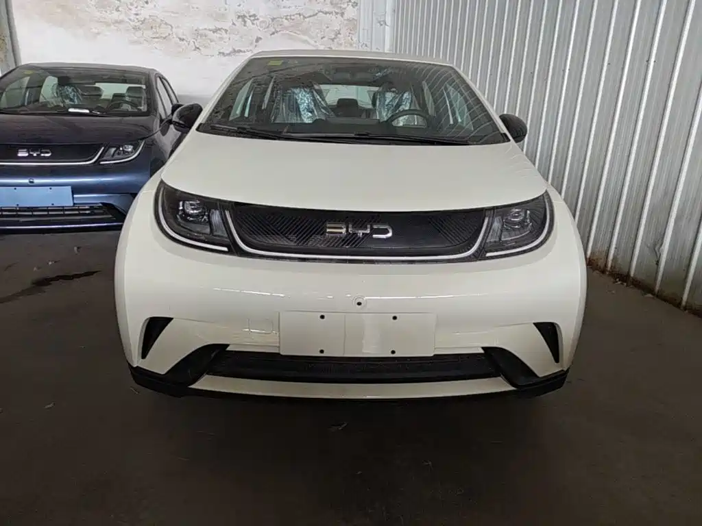 2026 BYD Dolphin