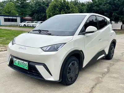 BYD Seagull