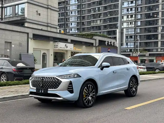  WEY Wey Mocha 2021 2.0T 4WD Premium Edition