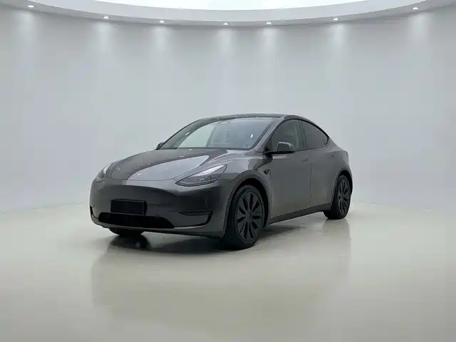 Tesla Model Y Увеличенный запас хода, полный привод