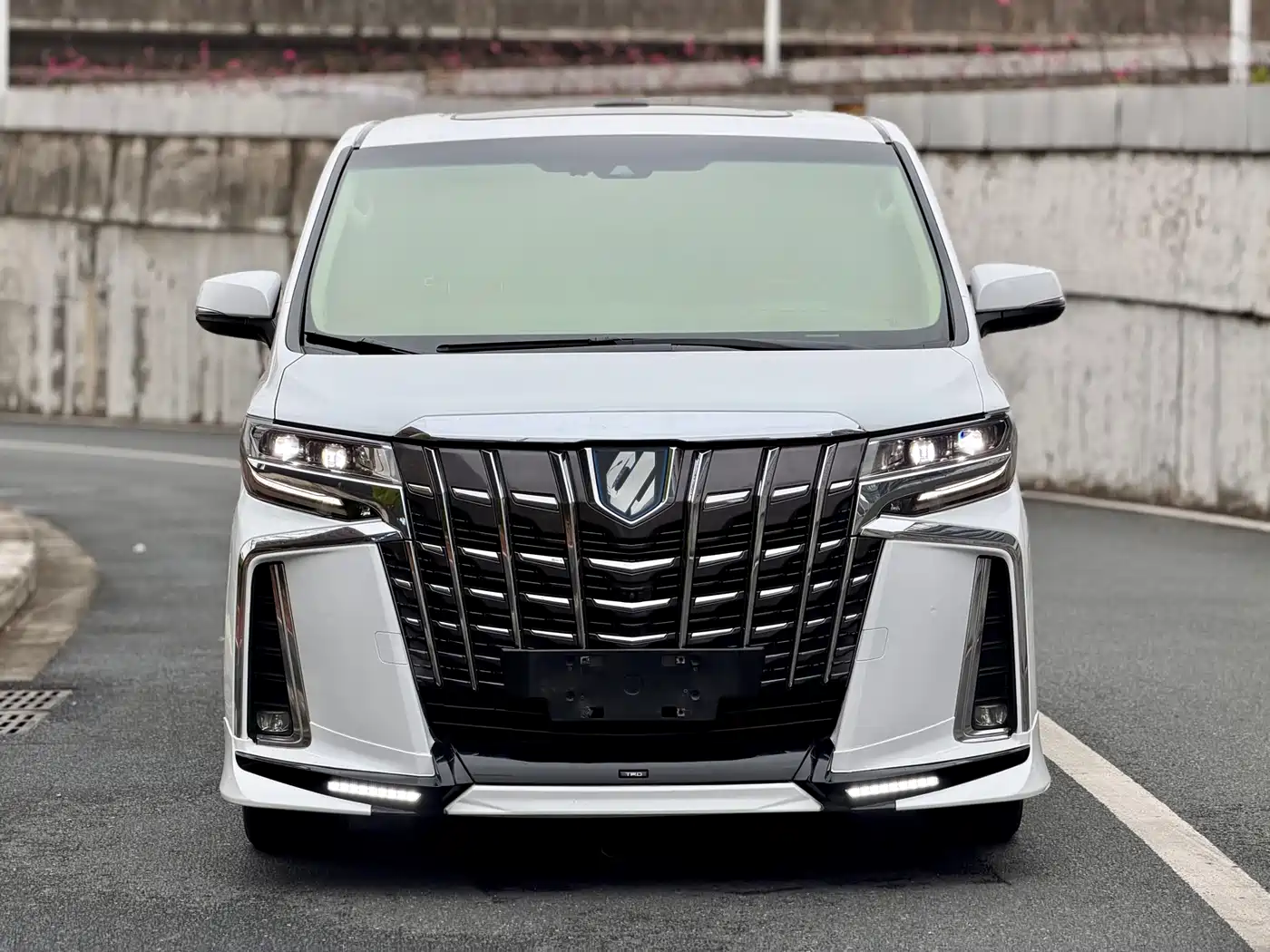 Toyota Alphard 2019 Hybrid 2.5L Premium Edition фото 2