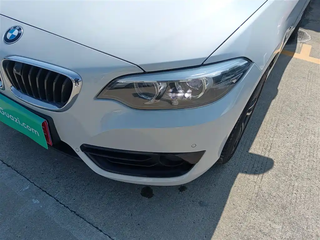 BMW 2 Series (Import) 2018 220i Sport Design Package фото 18