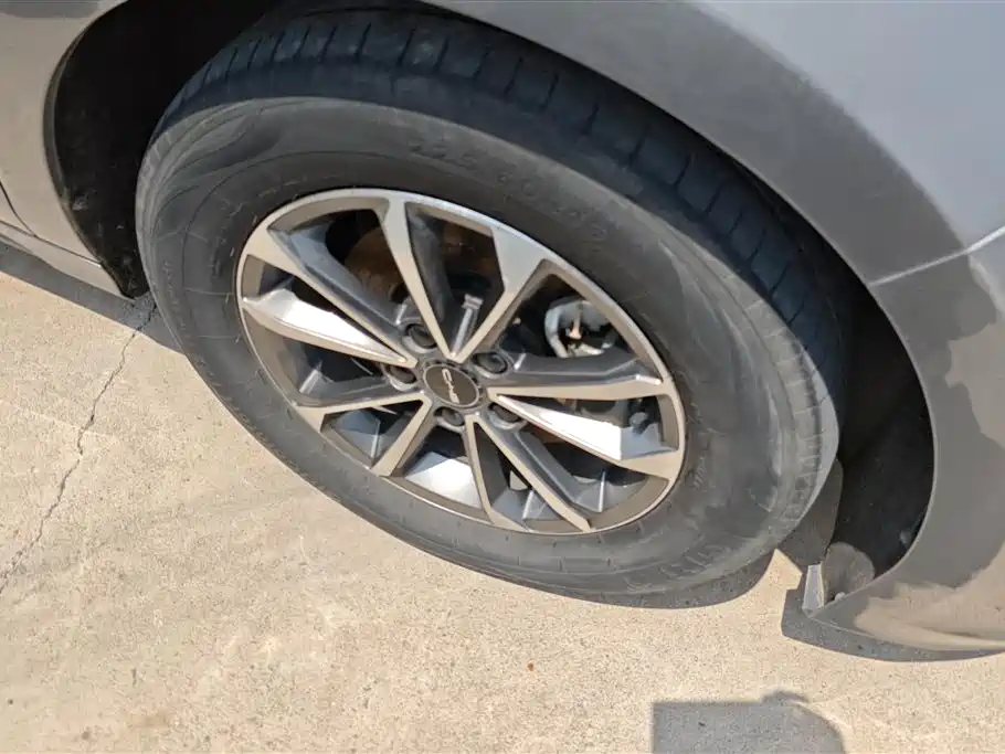 BYD Destroyer 05 2024 Glory Edition DM-i 55KM Luxury фото 6