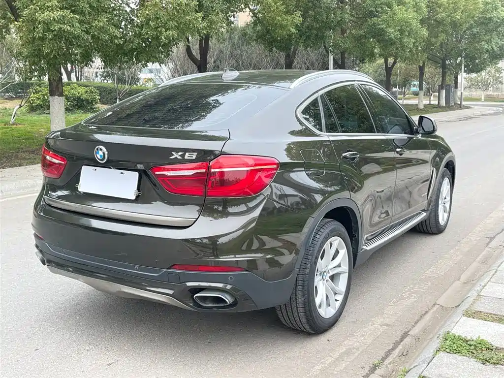 BMW X6 2017 xDrive35i Leading фото 7