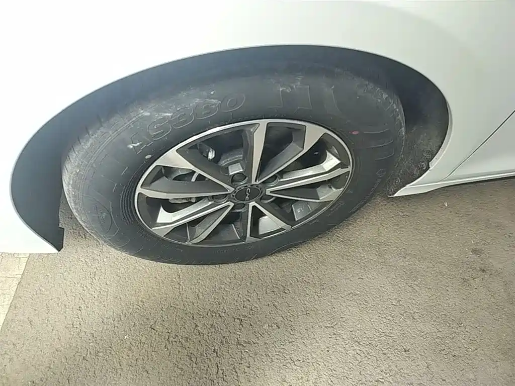 BYD Destroyer 05 2024 Glory Edition DM-i 55KM Luxury фото 23