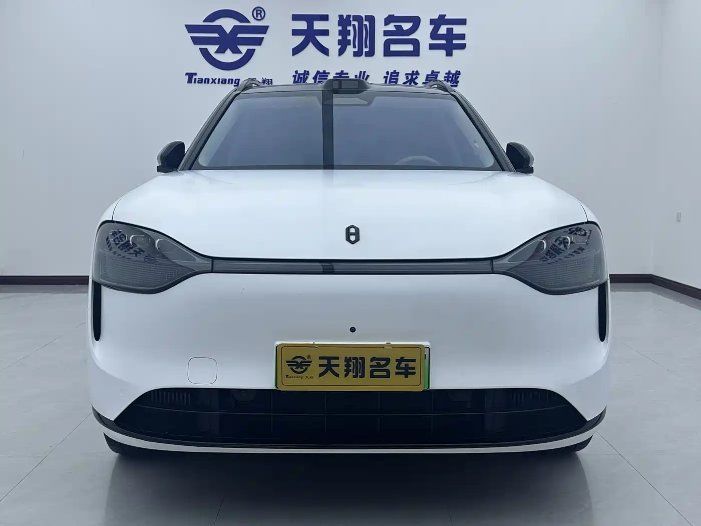 AITO Wenjie AITO M9 2024 Extended Range Ultra 42kWh 6-Seater фото 2