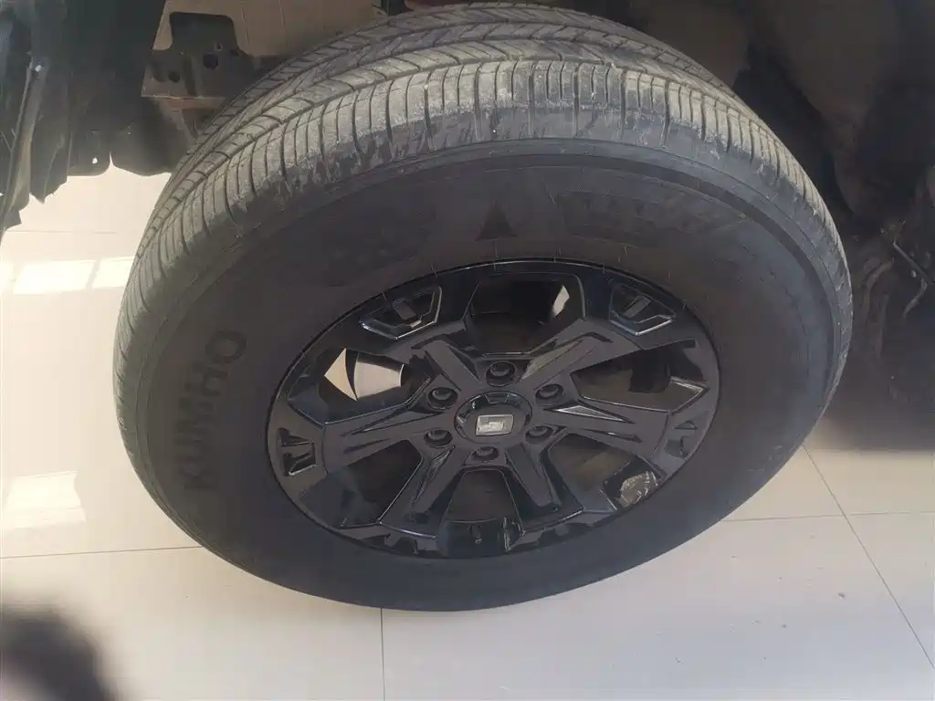 Tank 300 2023 Off-Road Edition 2.0T Conqueror фото 25