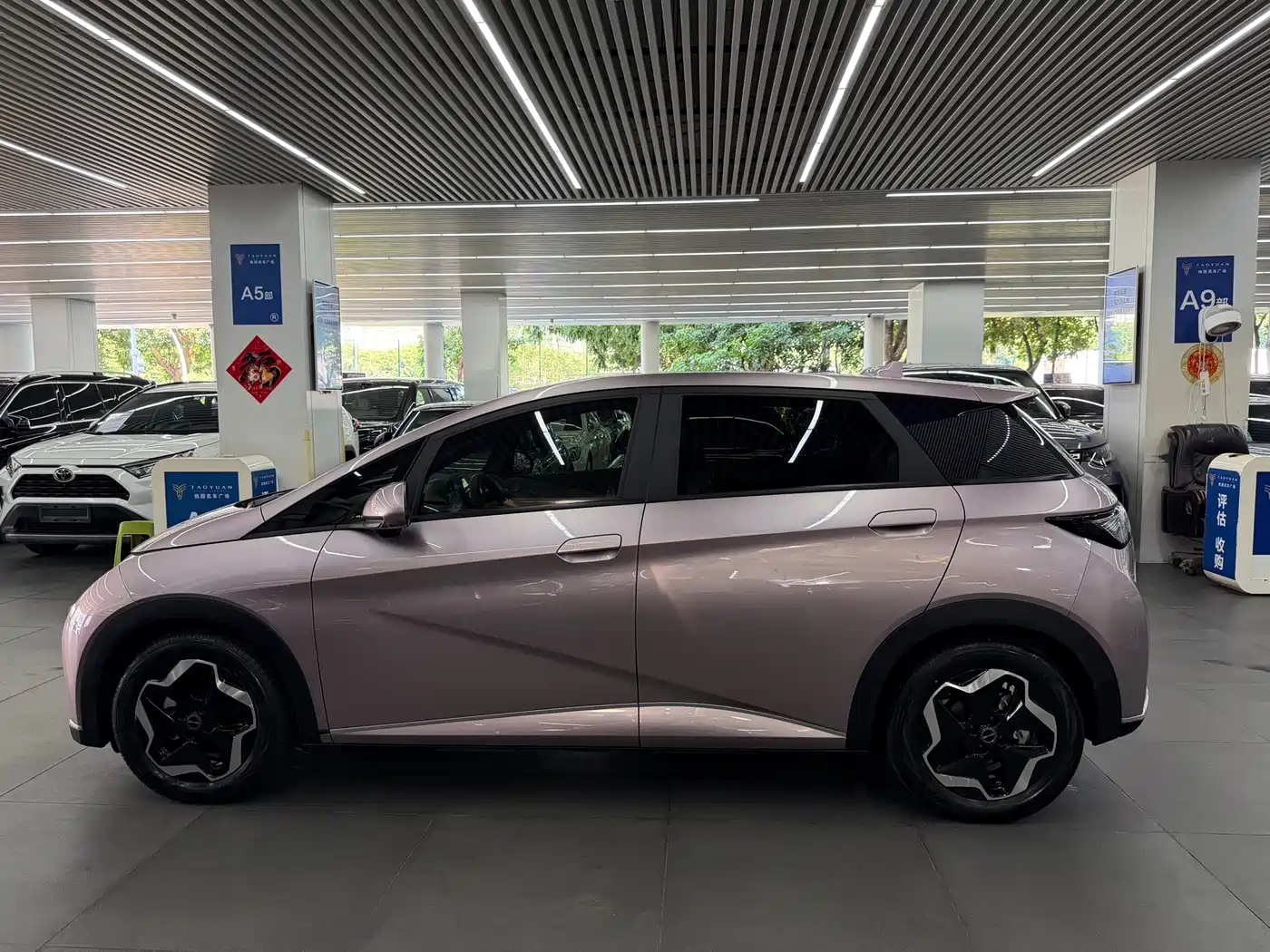 BYD Dolphin 2022 2021 Model 405km Fashion Edition