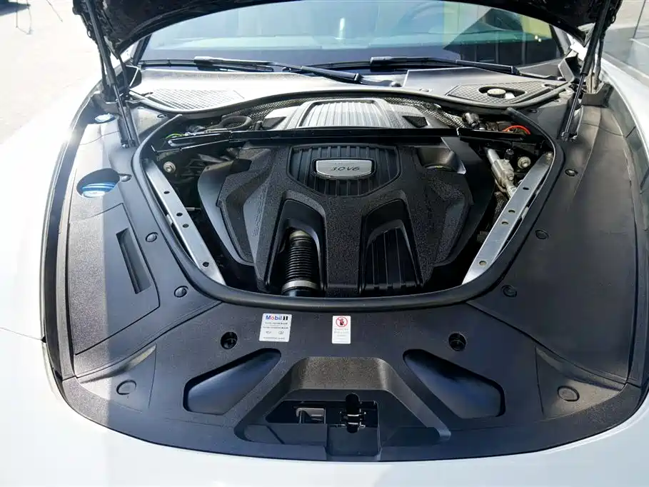 Porsche Panamera 2017 Panamera 3.0T фото 21