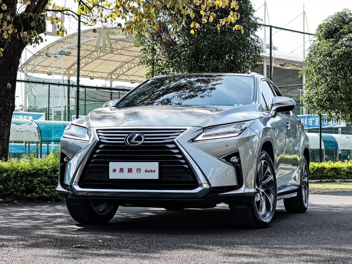Lexus RX 2016 300 4WD Elegance Edition (China V) фото 2