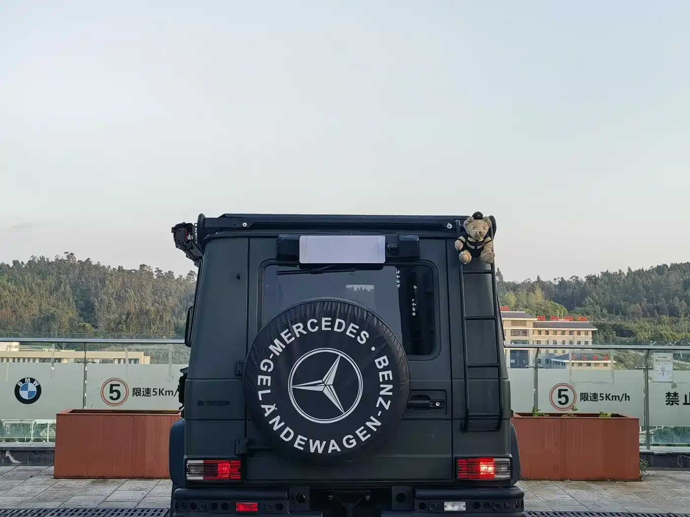Mercedes-Benz G-Class 2004 G 500 фото 4