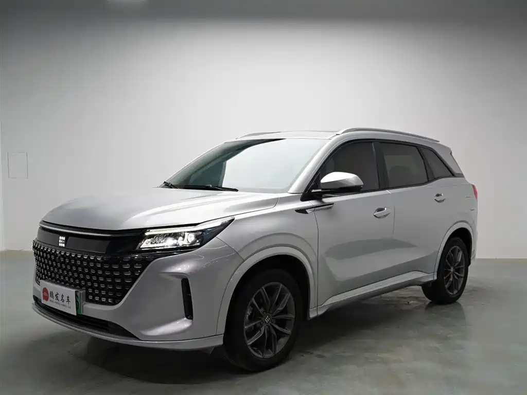 Landian E5 2024 2024 Glory Edition 100KM Comfort Type 7-Seater
