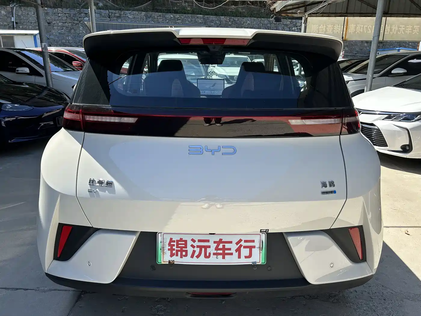 BYD Seagull 2025 Smart Drive Edition 305km Freedom Version фото 8