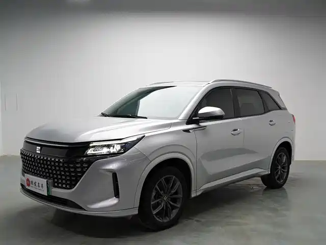 Landian Landian E5 2024 Glory Edition 100KM Comfort Type 7-Seater