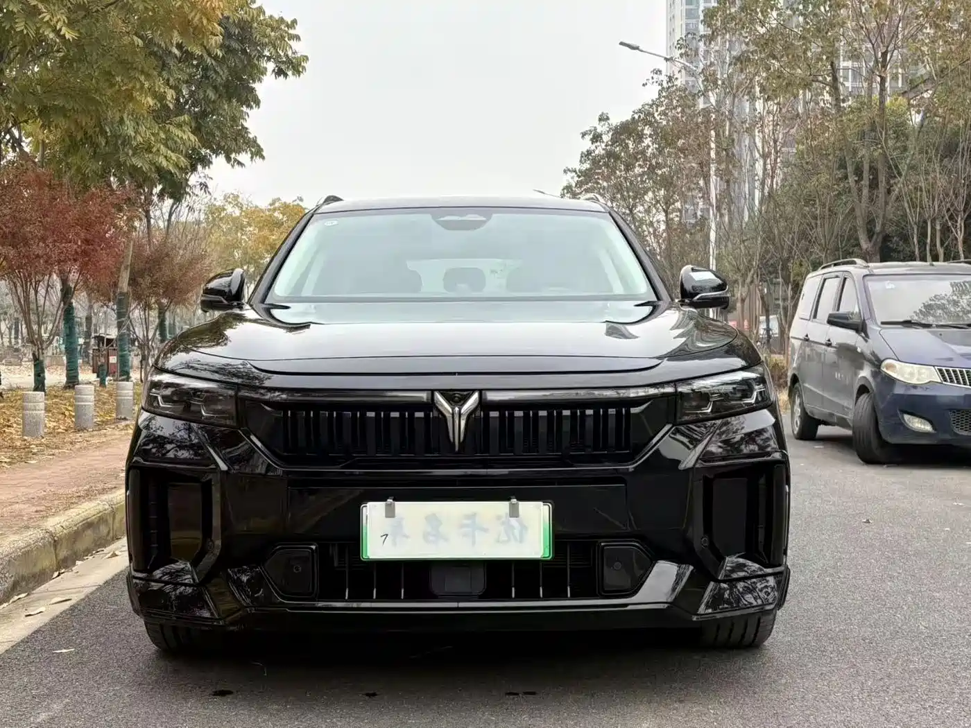 Voyah Auto VOYAH FREE 2024 Ultra Long Range Intelligent Driving Edition фото 2