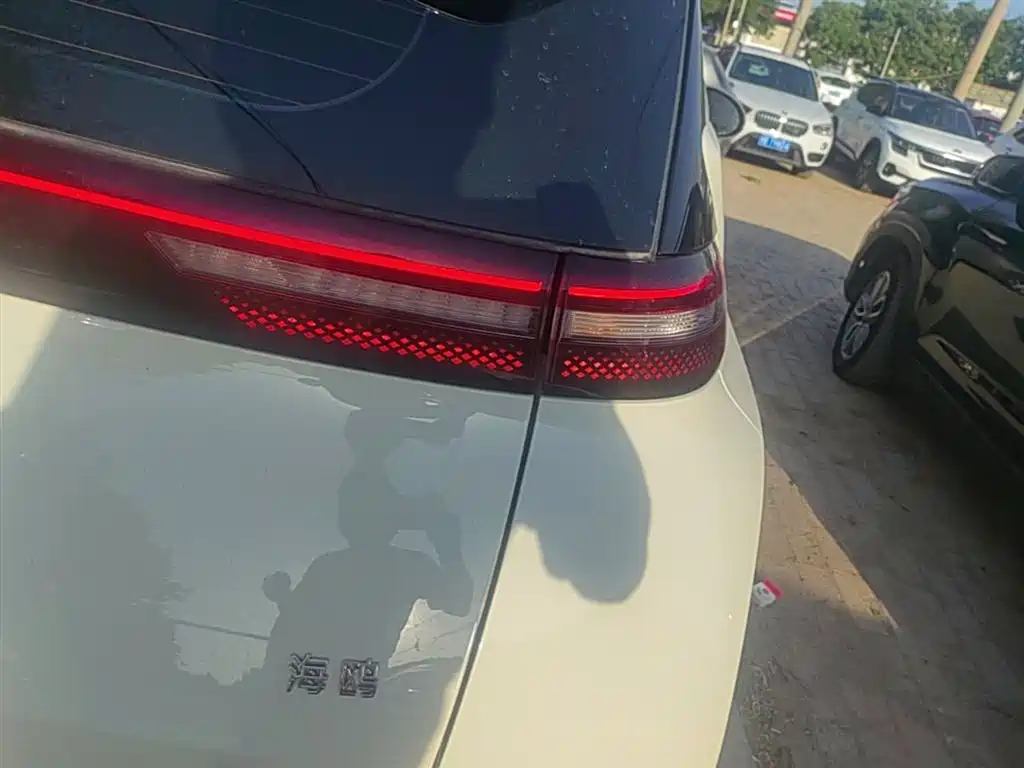 BYD Seagull 2025 305km Freedom фото 8