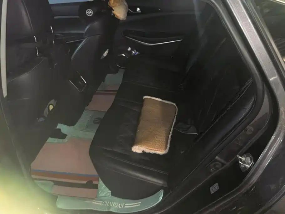 Changan Ruicheng CC 2021 2022 Blue Whale Edition 1.5T DCT Luxury