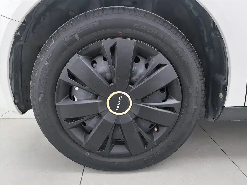 EULER BLACK CAT