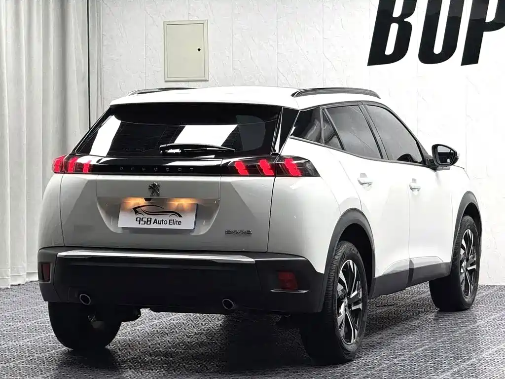 صورة 11 - Peugeot 2008
