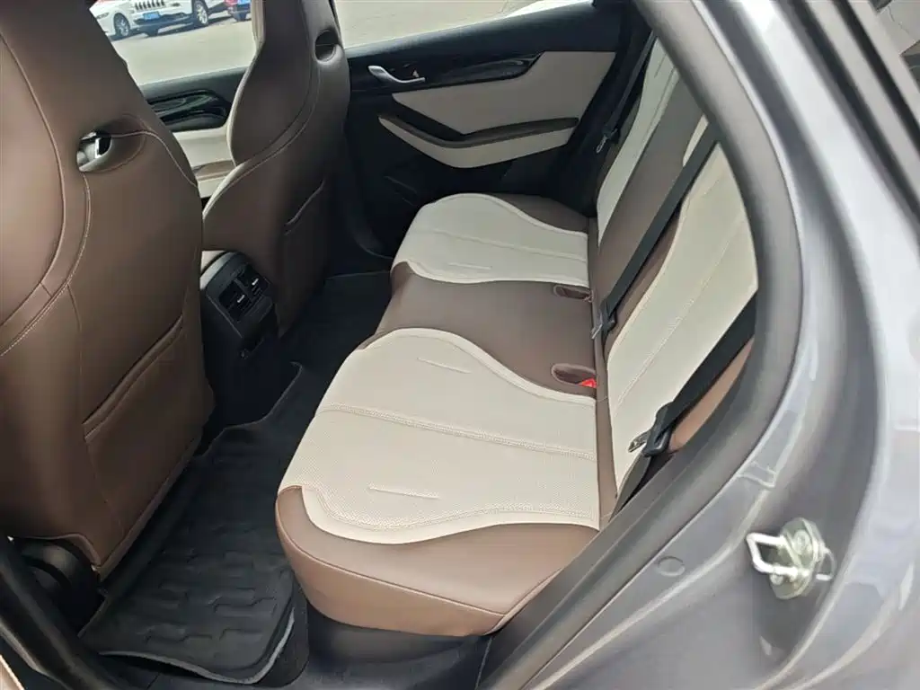 BYD Qin PLUS 2024 Glory Edition DM-i 55KM Leading фото 17