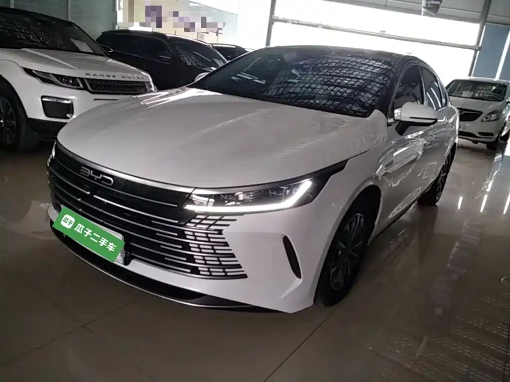 BYD Destroyer 05 2025 Model DM-i 55KM Smooth Ride Edition фото 2