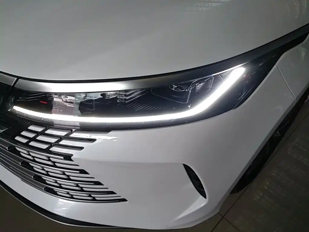 BYD Destroyer 05 2025 Model DM-i 55KM Smooth Ride Edition фото 24