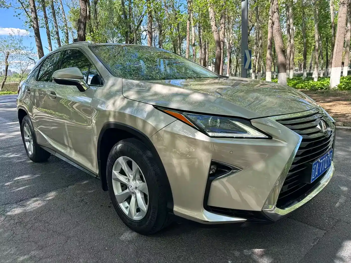 LEXUS RX
