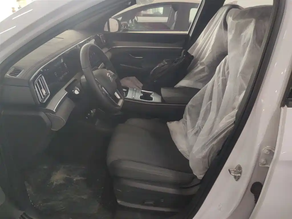 BYD Song Pro New Energy 2026 DM-i 133KM Progressive фото 15