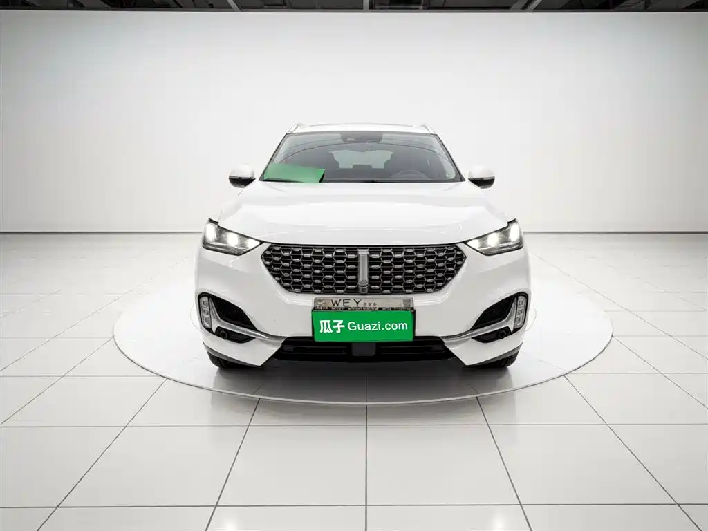 Фото 7 - WEY VV6