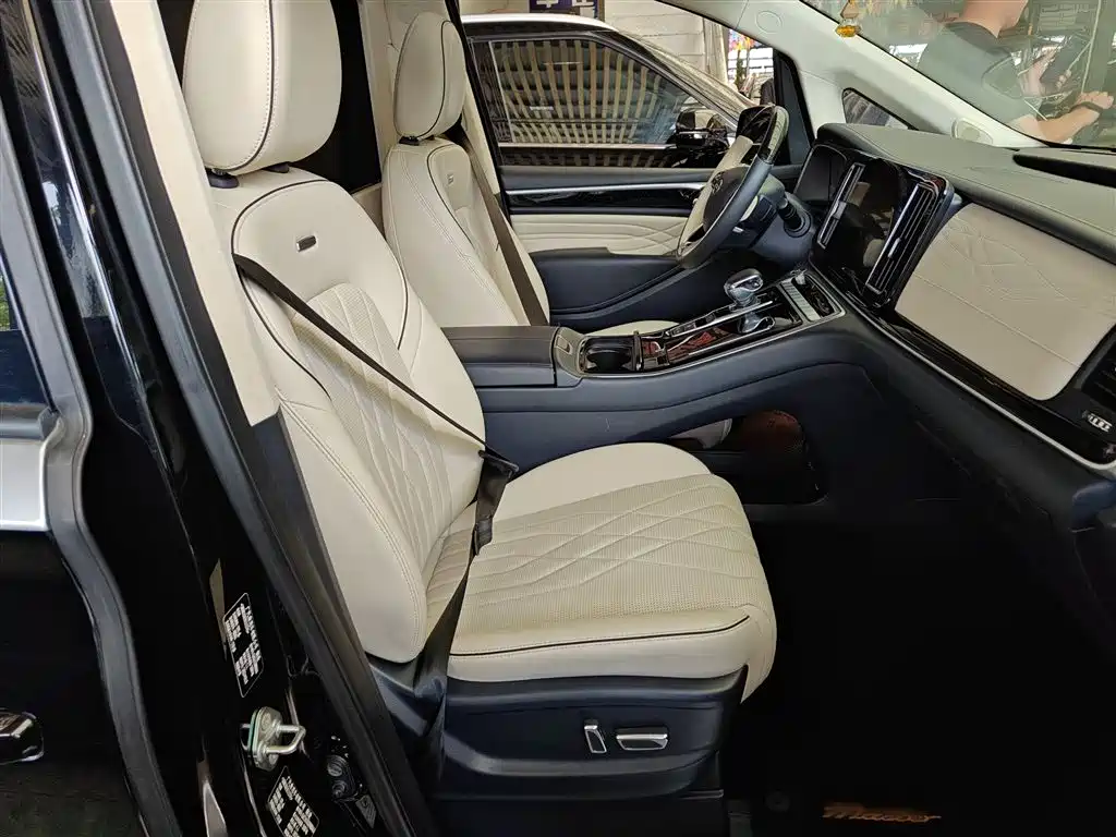 GAC Trumpchi Trumpchi M8 2021 Master Series 390T 4-Seat Premium Edition фото 3